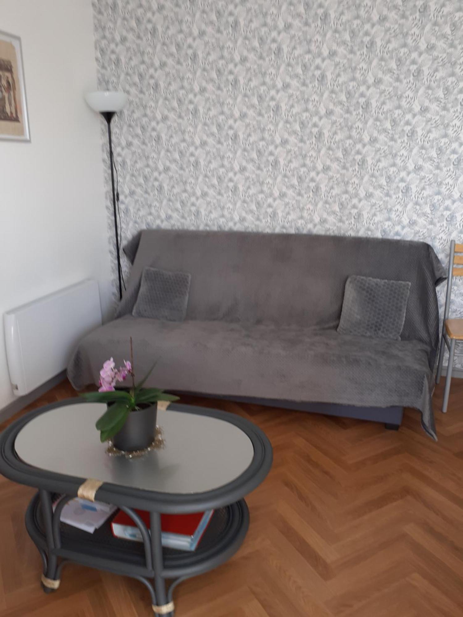 Appartement Pour Famille Amis Ou Colegue Cholet Kültér fotó